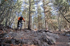 Bikes from singlespeed 29er hardtails to 8-inch freeride bikes will all find a home in the ‘Loops. Photo by Scott Baker