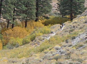 In addition to back-country riding on the Eastside, there is the also Mammoth Mountain Bike Park. Photo by Seth Lightcap