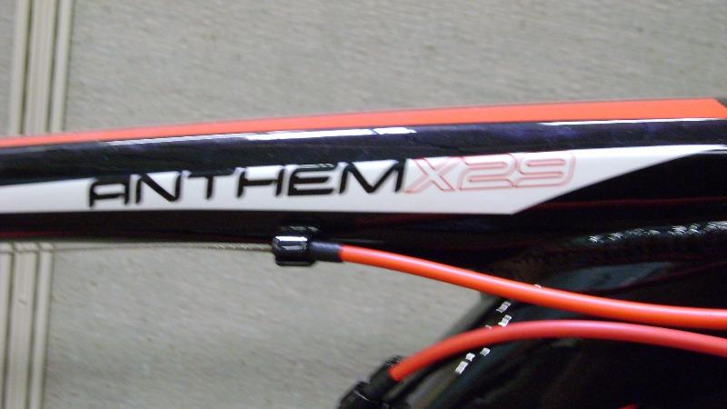 Giant recalls 2011 Anthem 29ers Velo