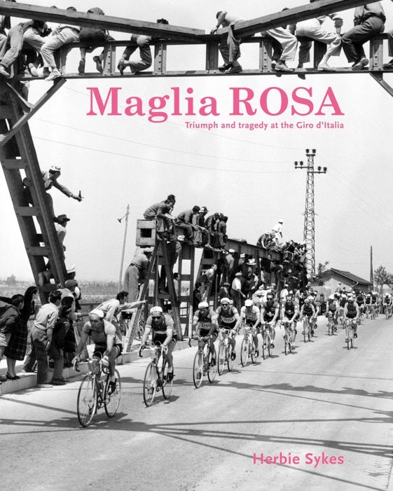 Maglia