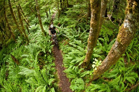 bc bike race bike check