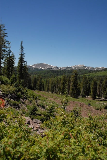 2011