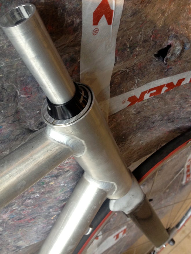 Domane