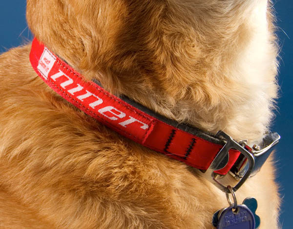 NinerCollar