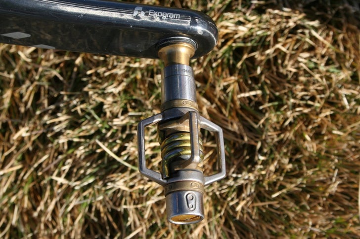 Pro