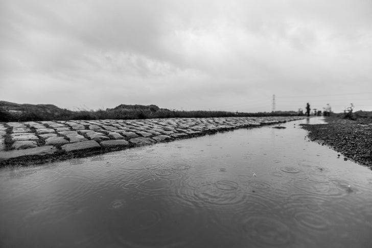 2014