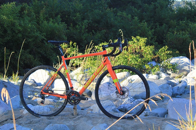 santa cruz stigmata orange