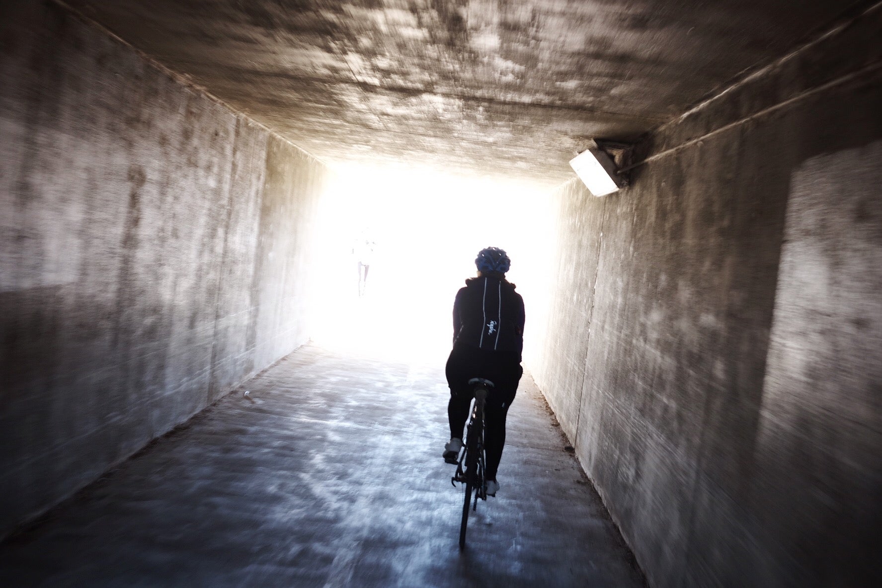 Ride review: Frogger