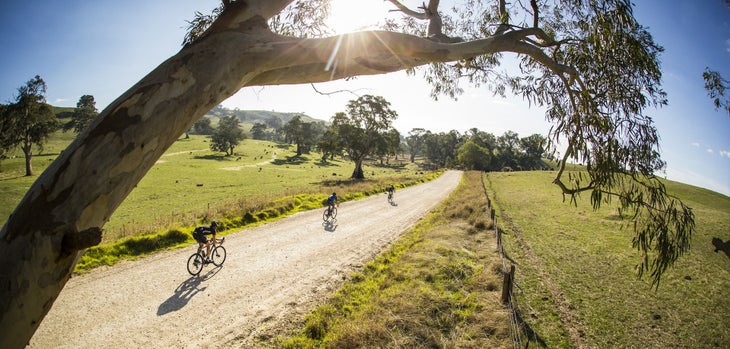 In Memoriam: The Surly Cross-Check, Discontinued After 24 Years - Velo