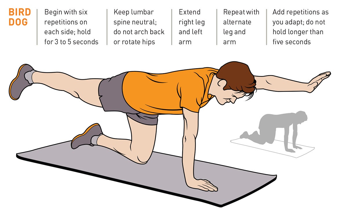 Training Center Core strength for cyclists Velo