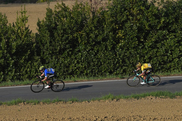 Roglic