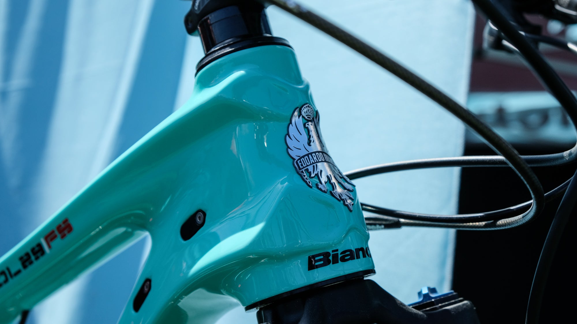 Bianchi cheap snake mtb