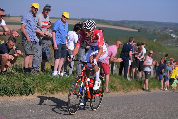 van der Poel