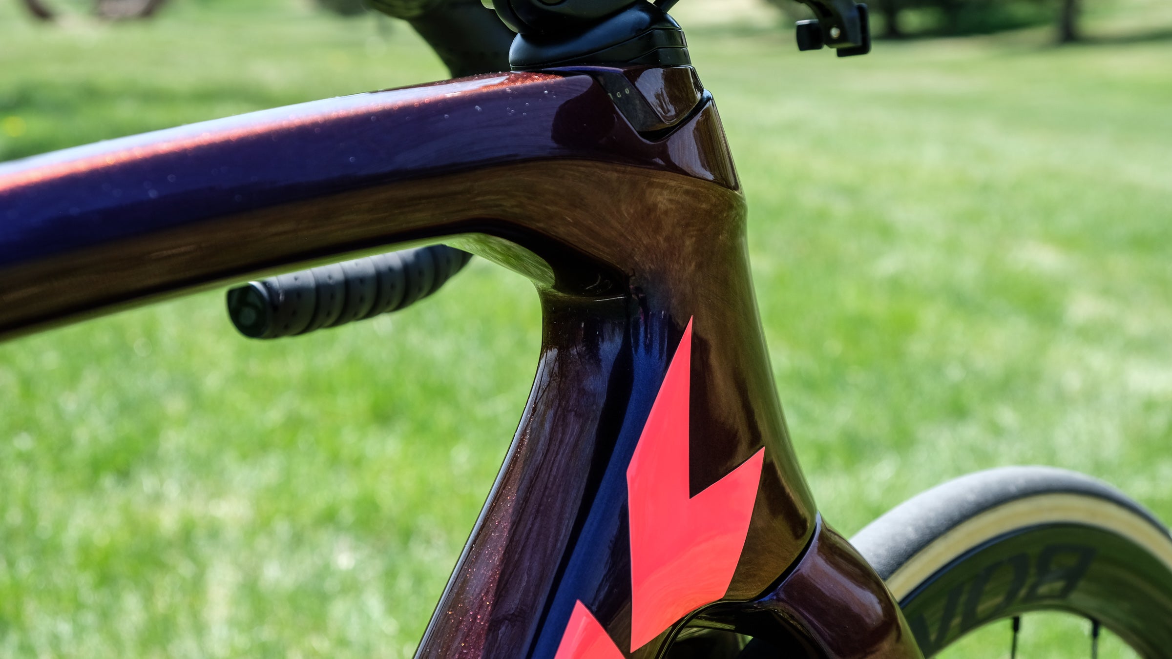 Emonda slr 2021 online review