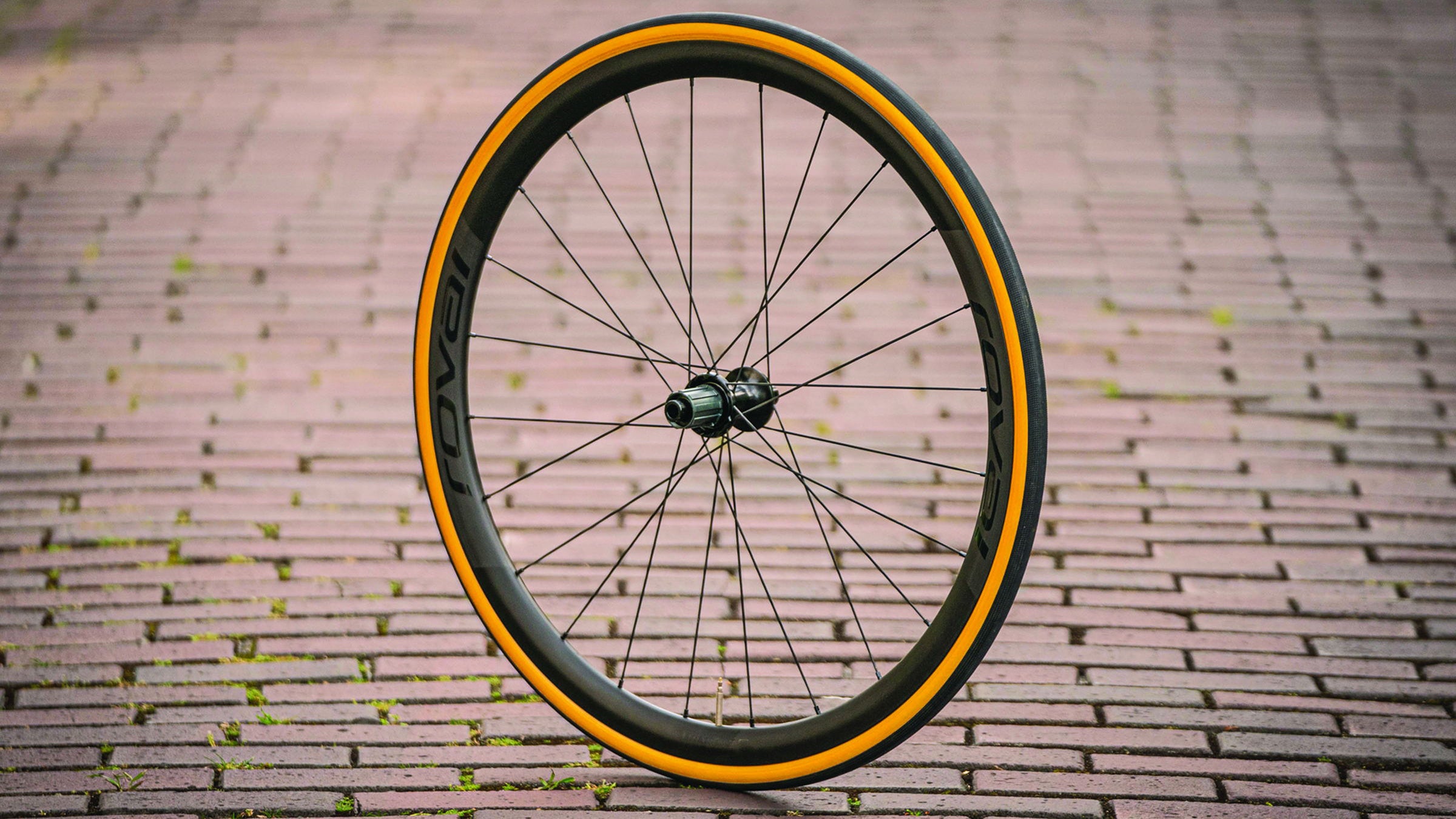 Roval Rapide CLX for all-around aero, Alpinist CLX for the climbers