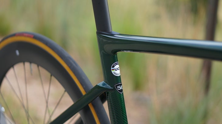 Dropped seatstays