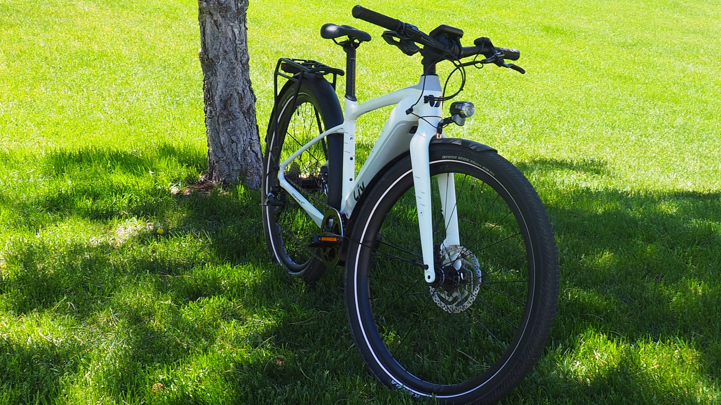 Liv thrive e+ 1 pro best sale electric bike