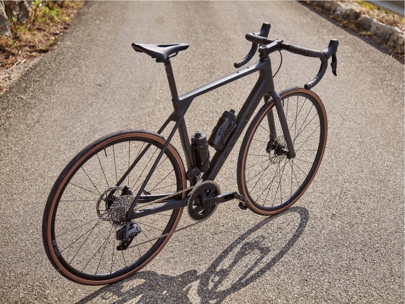 Canyon endurace hot sale on gravel