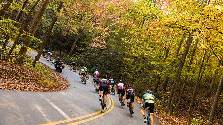 Cyclists riding around a wooded bend