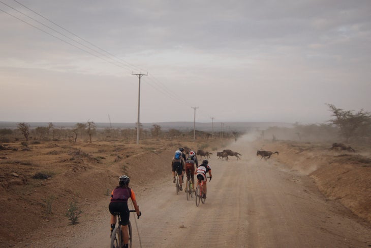 migration gravel race