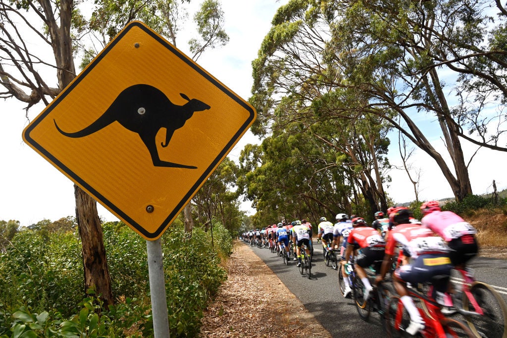 How to Watch the Tour Down Under