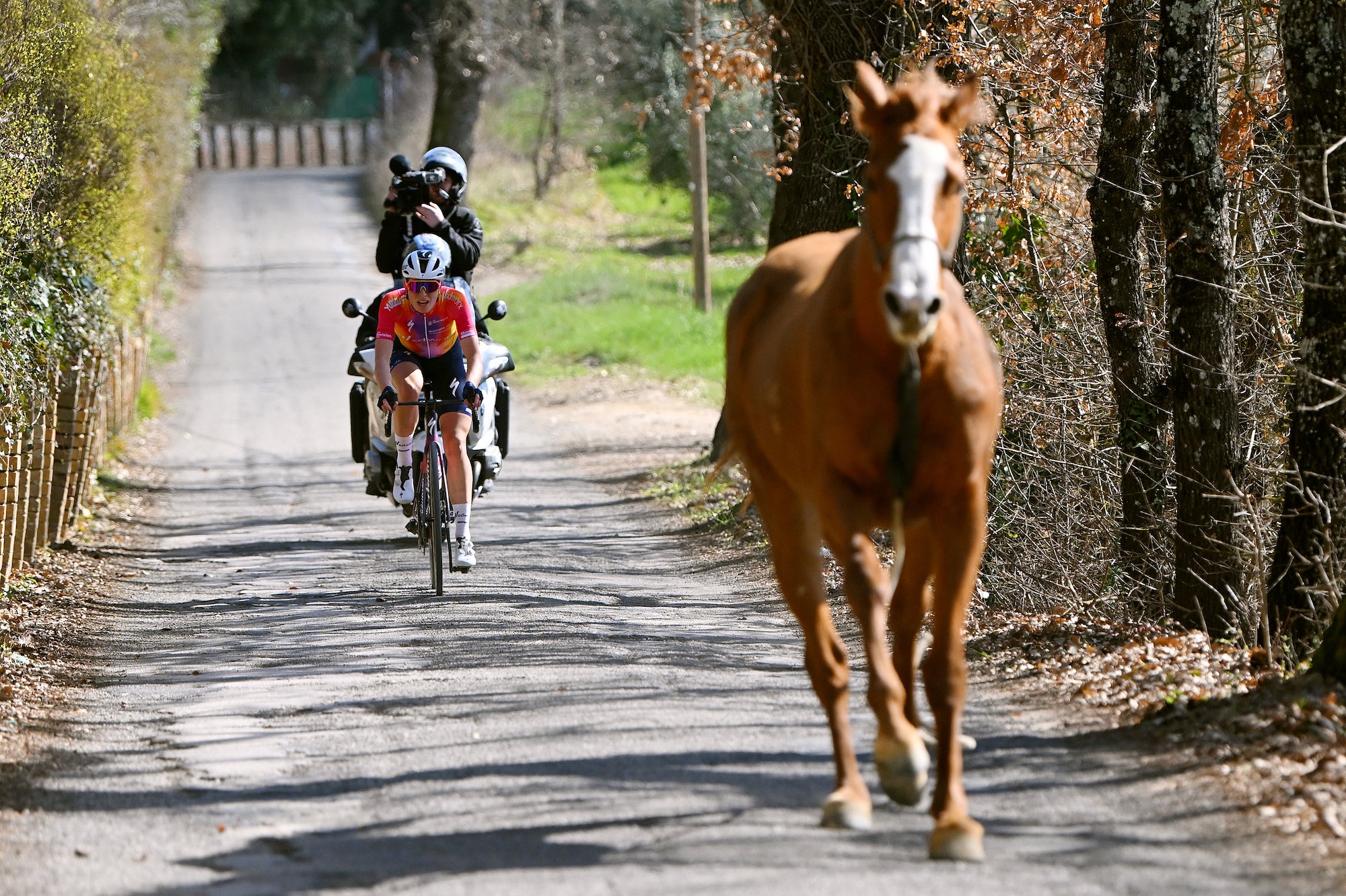 Demi Vollering fends off horse and SD Worx teammate to win Strade