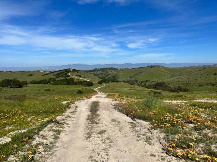 The Sea Otter Classic Finally Has a Proper Gravel Race - Velo
