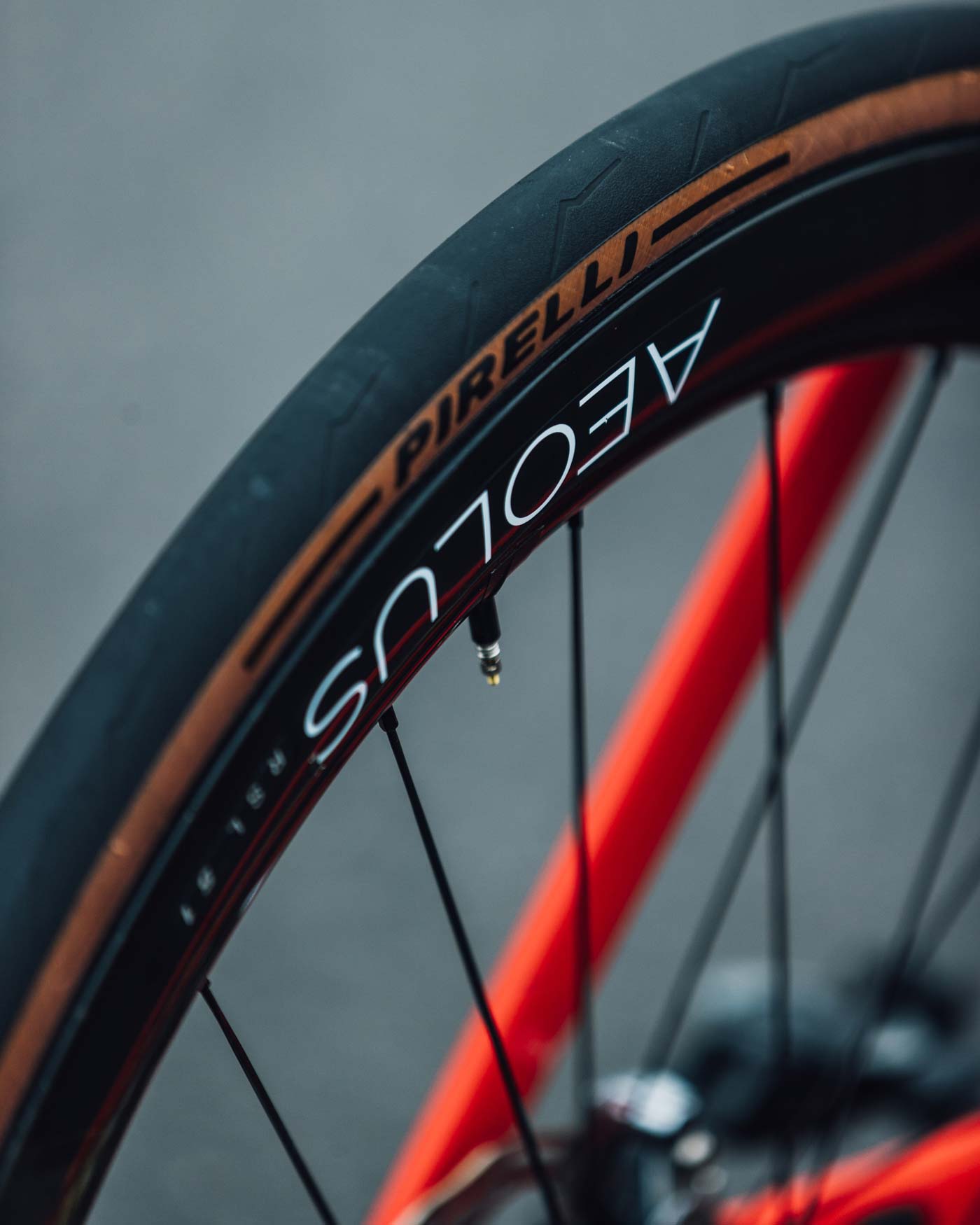 Mads Pedersen's Trek Madone SLR 9 Trek-Segafredo team bike for the Giro d'Italia close up of Bontrager Aeolus wheels