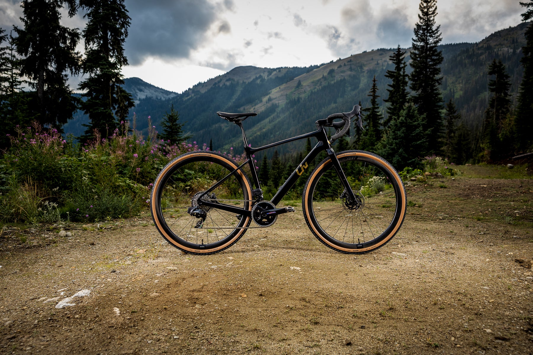 The New Liv Devote Gravel Bike Is Longer, Lower, and Adds Storage