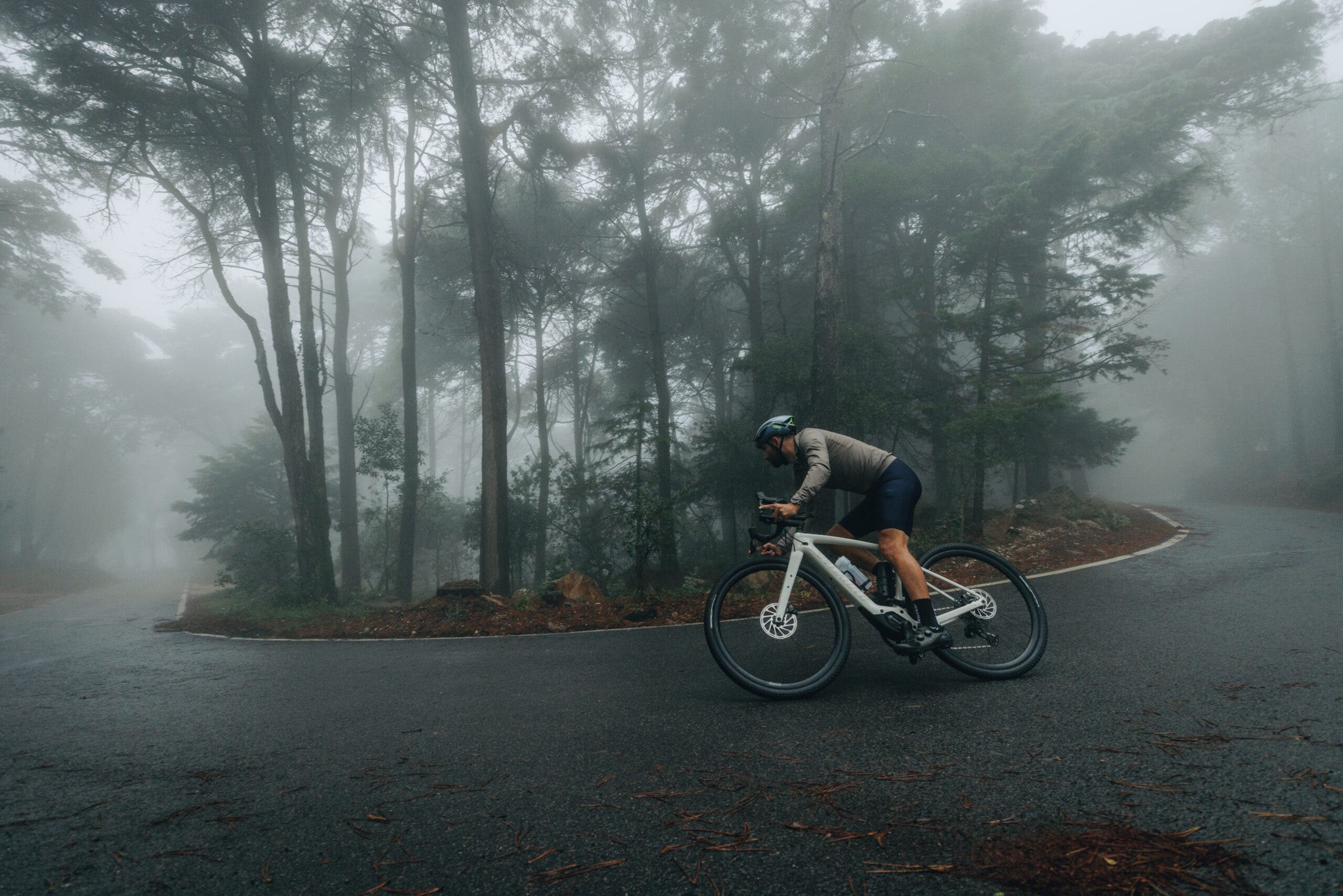 Specialized Creo 2 action