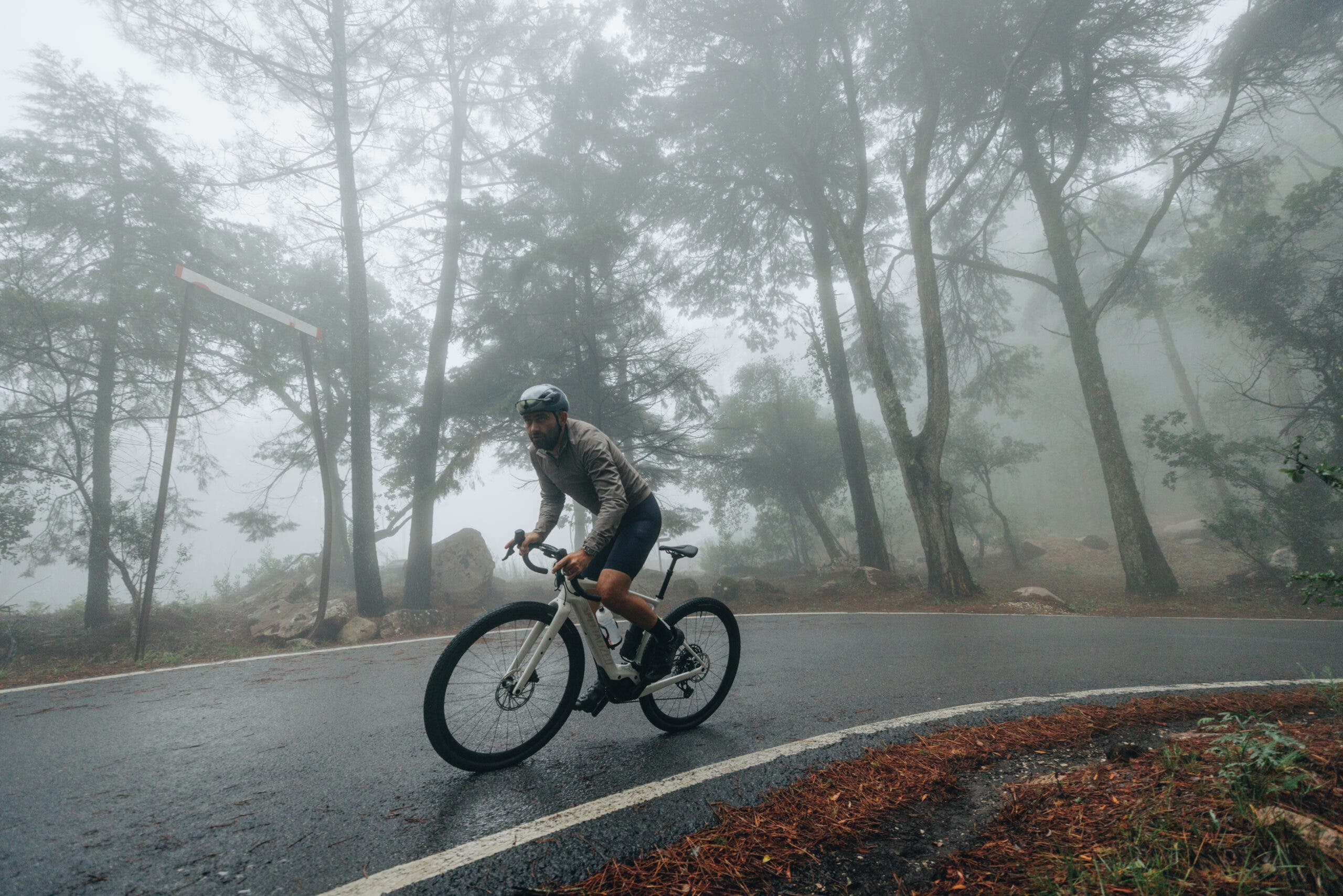 Specialized Creo 2 action