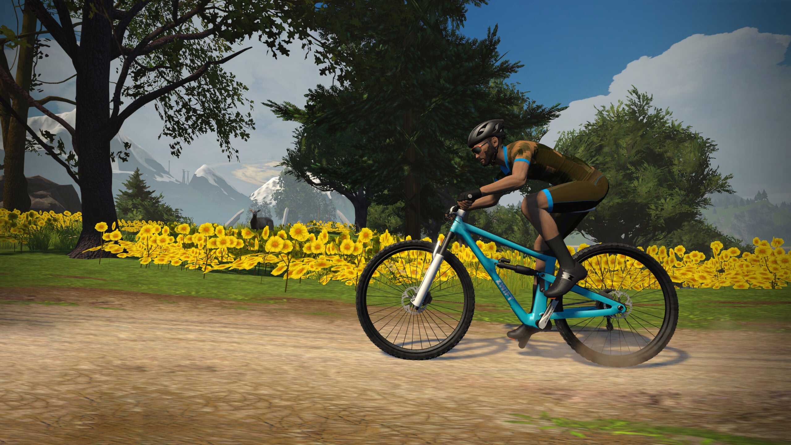 Vélo biking best sale connecté zwift