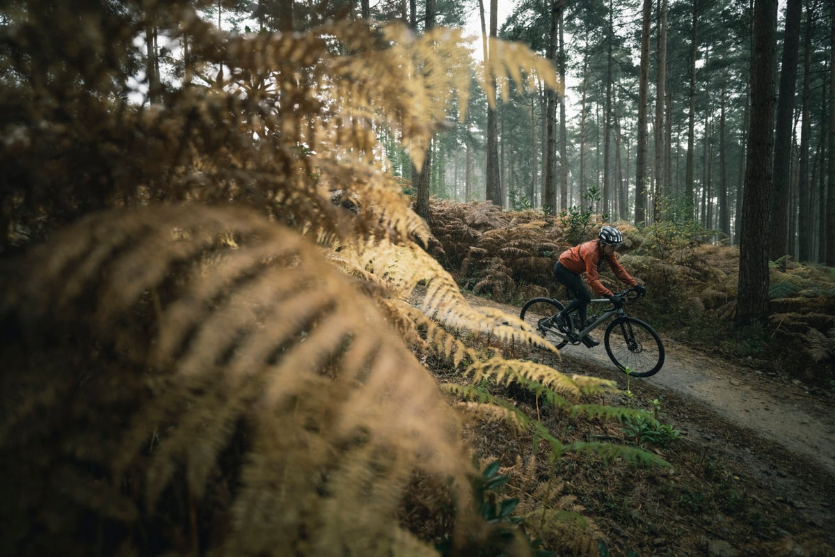 Shoddy Dave's Great Gravel Gear of 2023