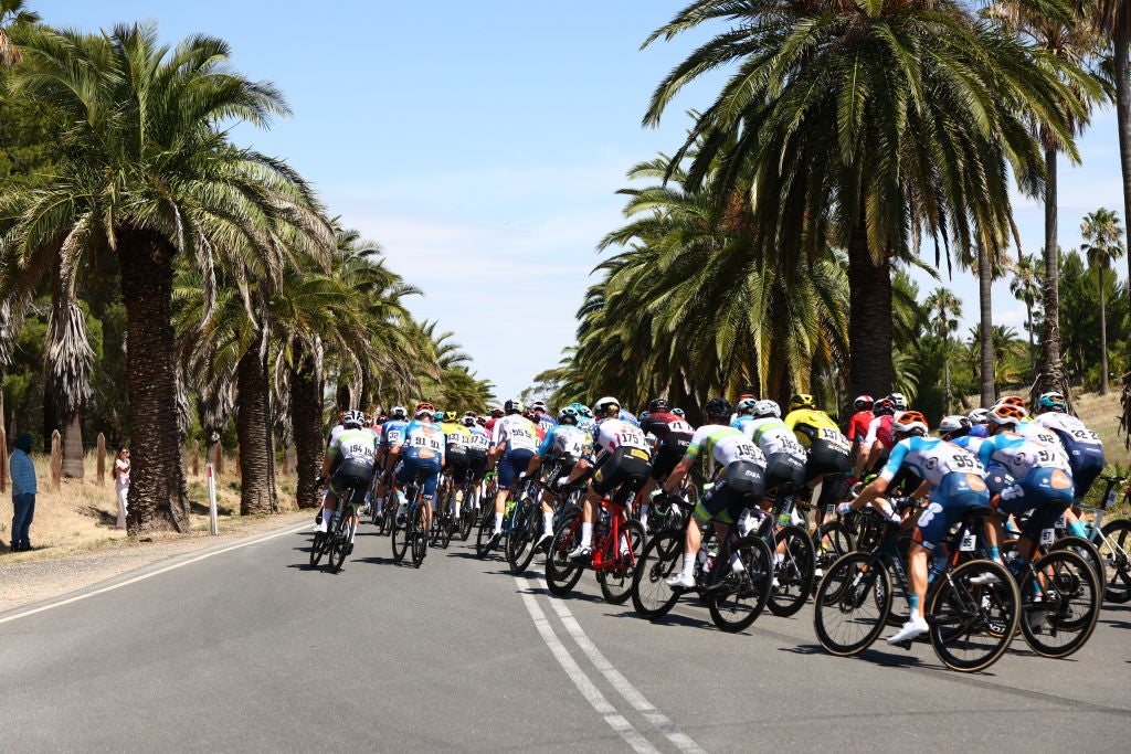 Saunas, Hot Tubs, Super-Sweaty Indoor Trainer: How Riders Prepare for the Burner of Tour Down Under