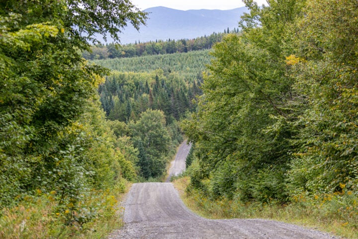 Over 114,000 Acres of Maine Wilderness Are Now Open to Gravel Biking - Velo