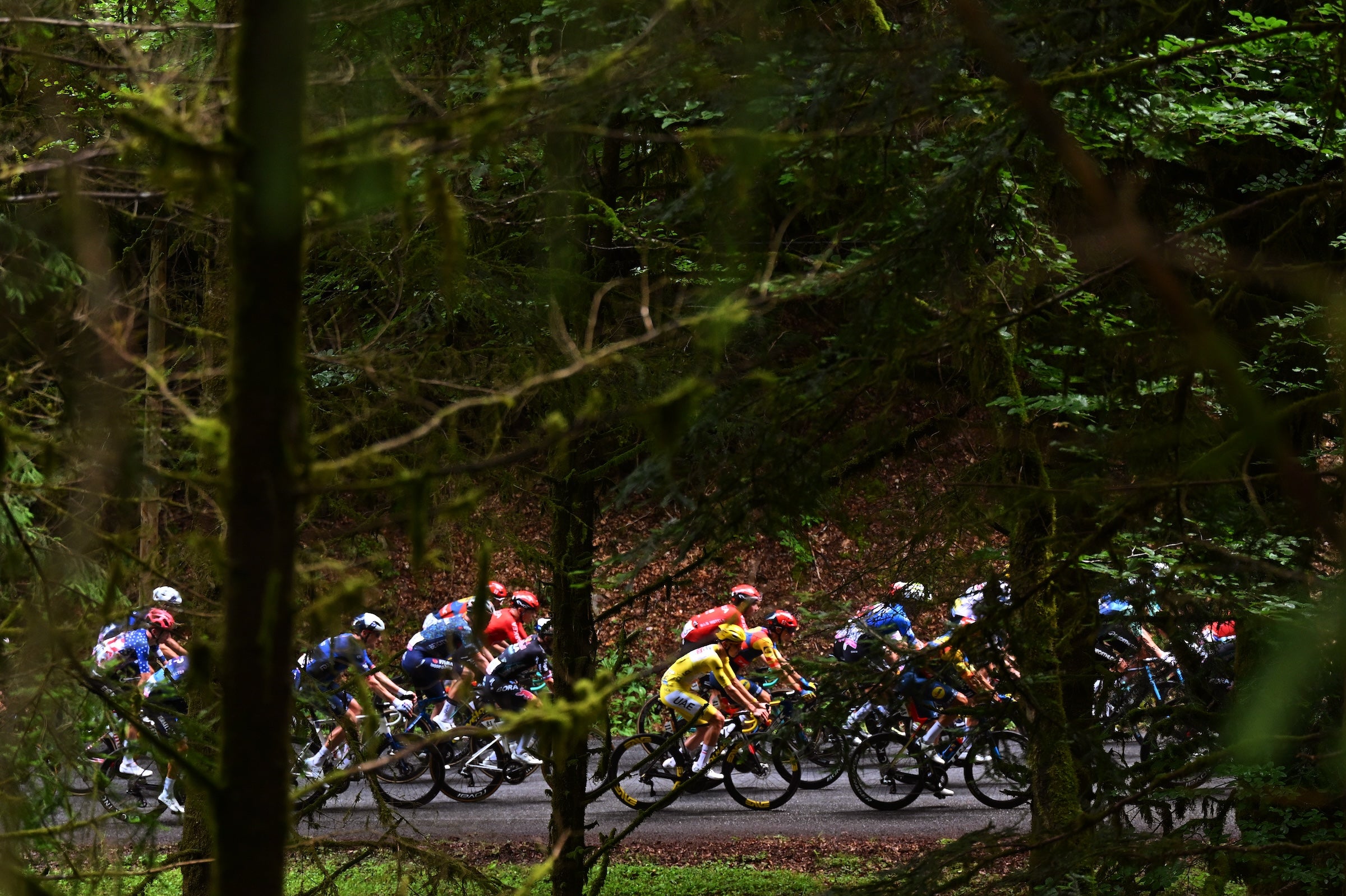 Mountain biker tour de france hotsell