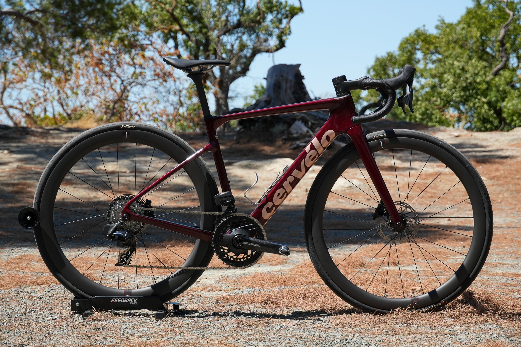 Cervélo Caledonia 完成車 54 Review: Cervelo Caledonia-5 Second Generation 2024