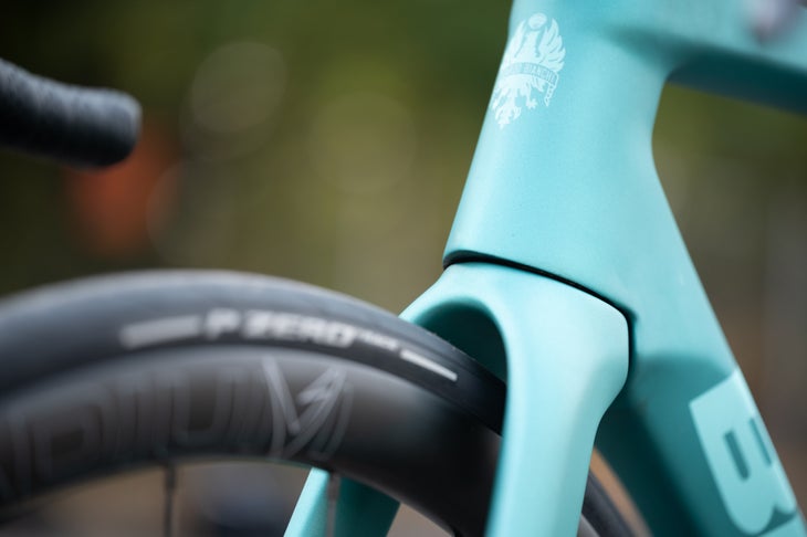 Bianchi Specialissima Pro head tube