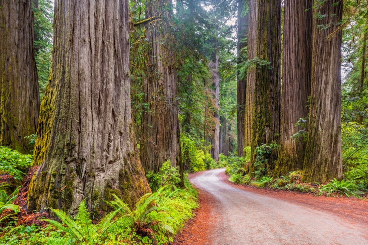 The 10 best national parks in the USA for cycling