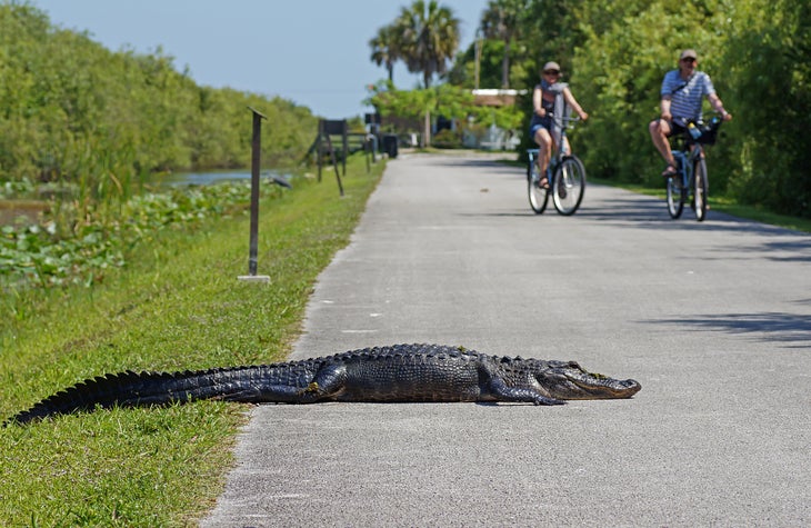 The 10 best national parks in the USA for cycling