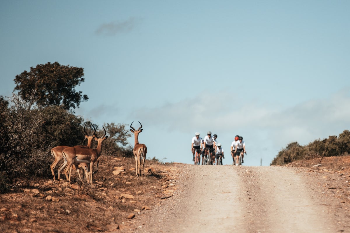 https://velo-cdn.outsideonline.com/wp-content/uploads/2024/12/Gravel-Burn_2409_TB_01-08375-1.jpg?width=1200