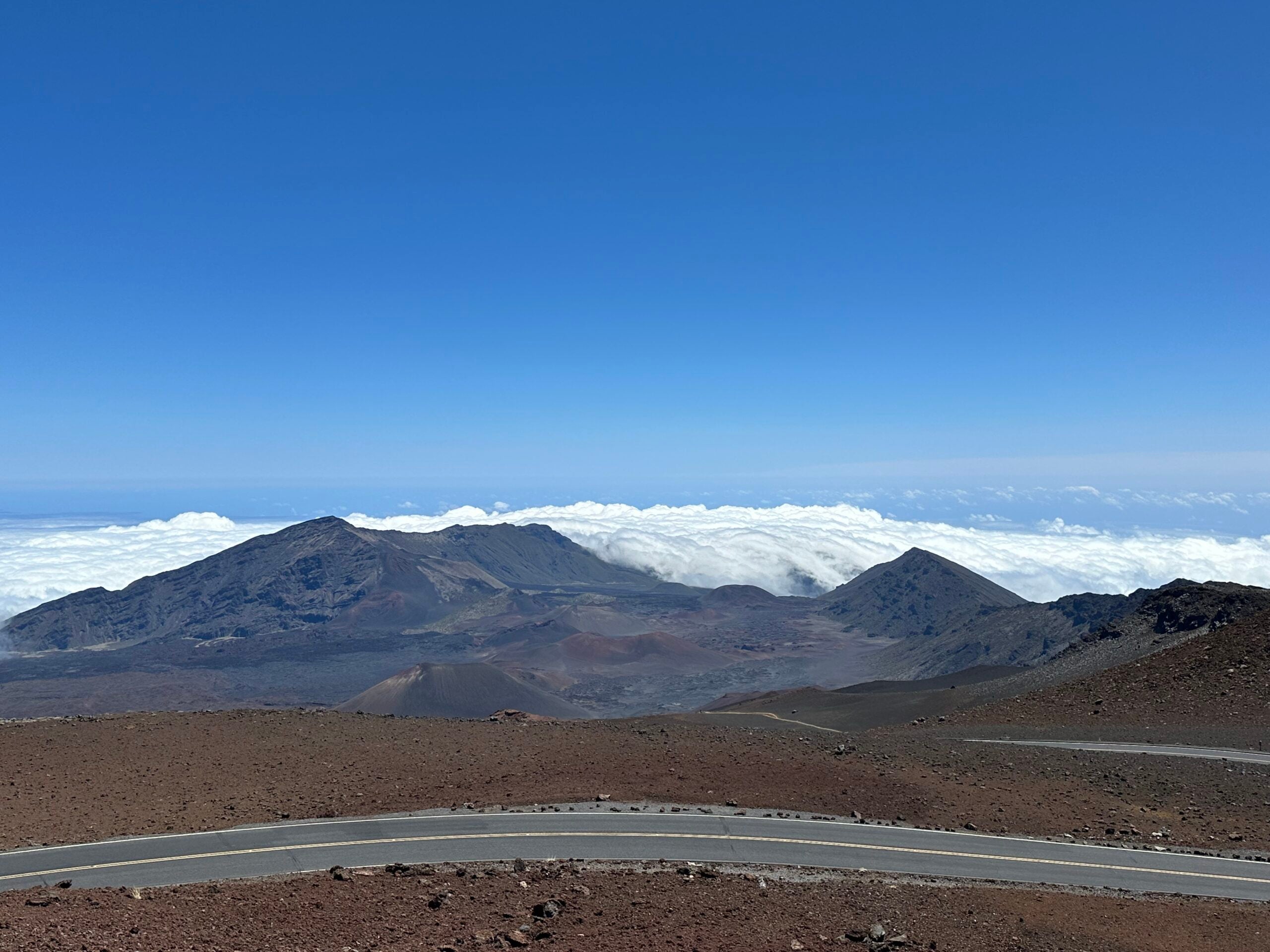 【ペア】パルナシウス・アポロ（新疆省天山） Crowning the Volcano: Phil Gaimon Sets New KOM on Hawaii's
