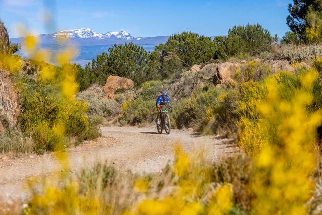 Valverde, Schiff Win Gravel World Series Opener in Spain