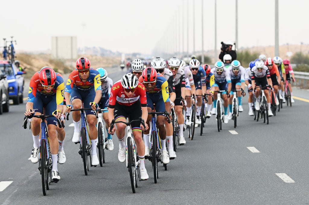 Jonathan Milan Plows to Another Sprint Victory after Echelons Blow Up UAE Tour