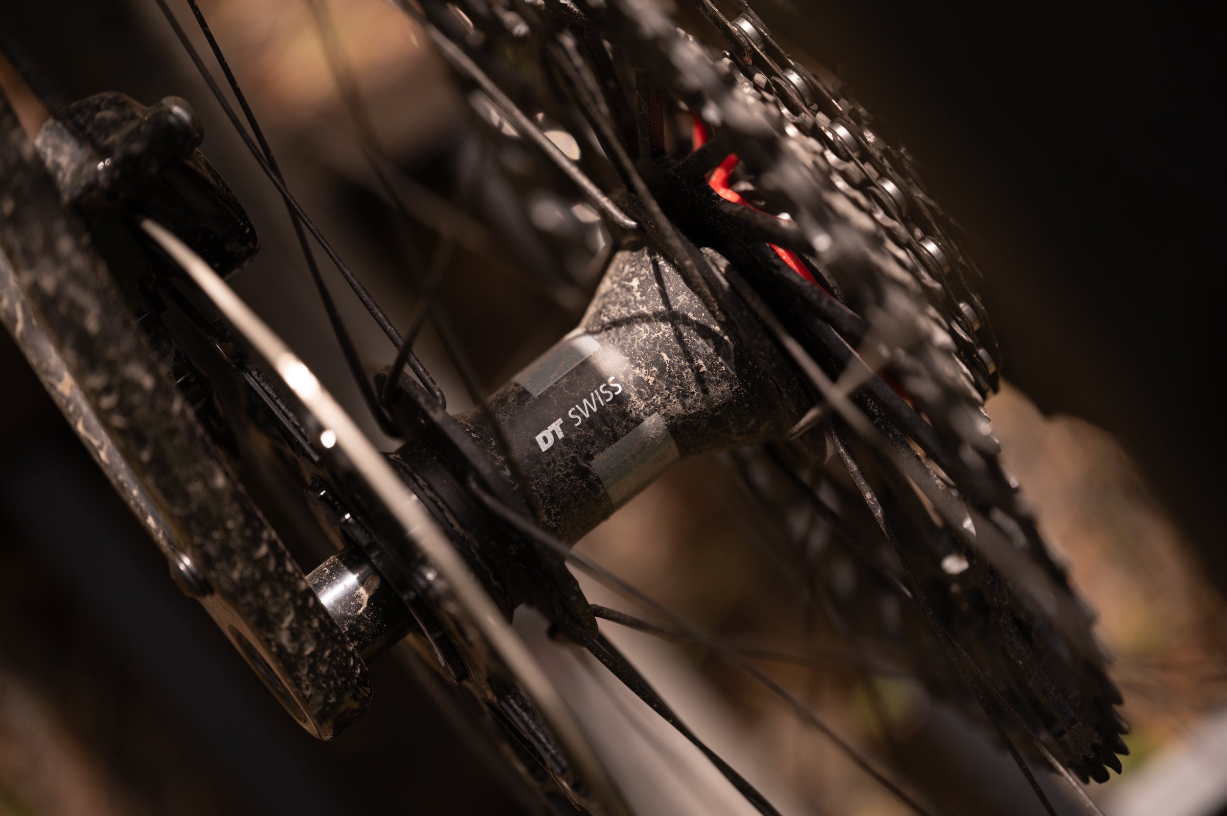 Cannondale Topstone Lefty rear DT Swiss hub