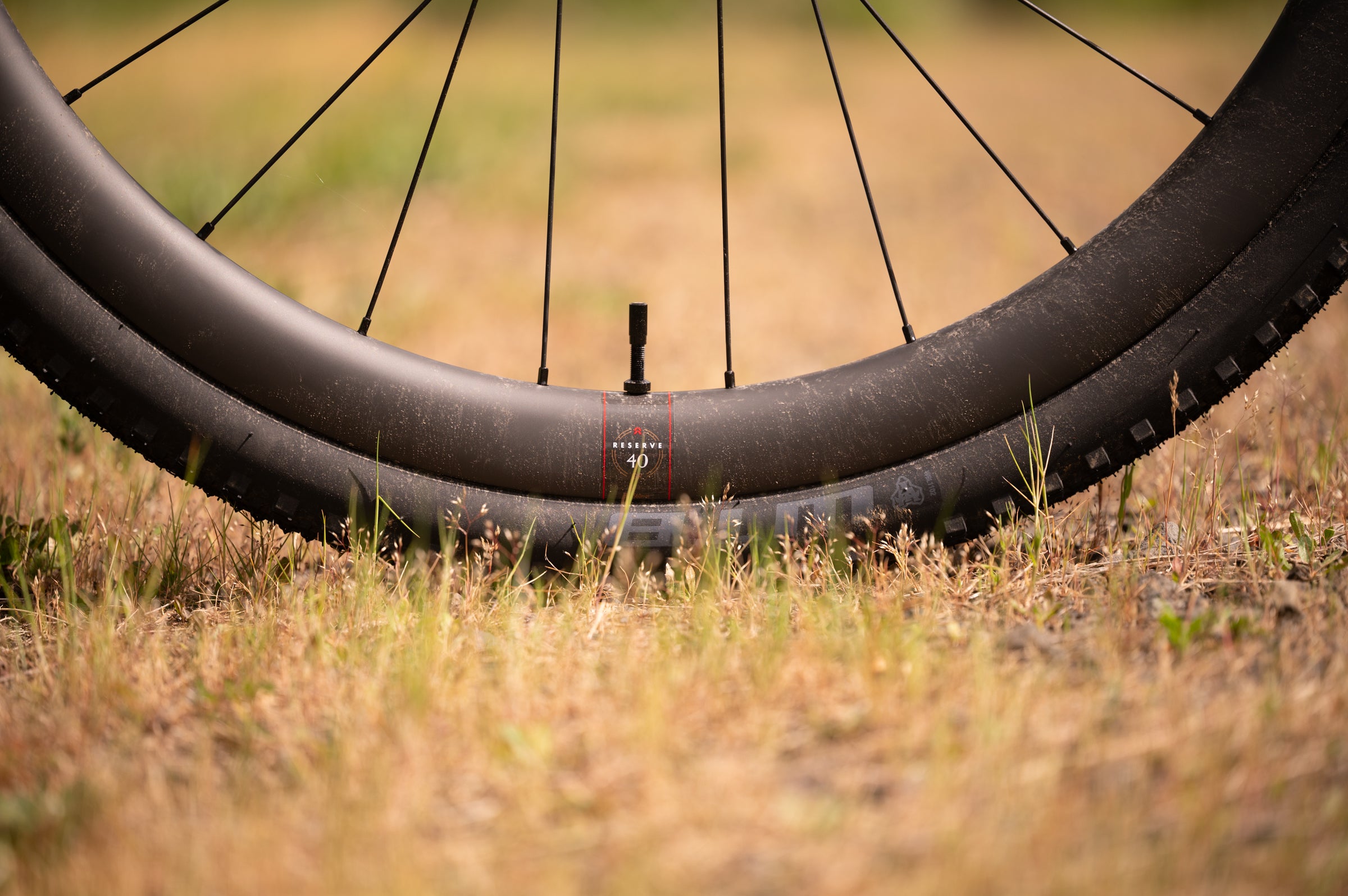 Reserve 40/44 wheels with WTB Raddler tires