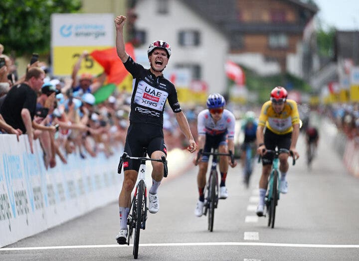 Dossard Tour De France – Ferron, Pogacar, équipes UAE Et Visma, Cyclisme, Origine France