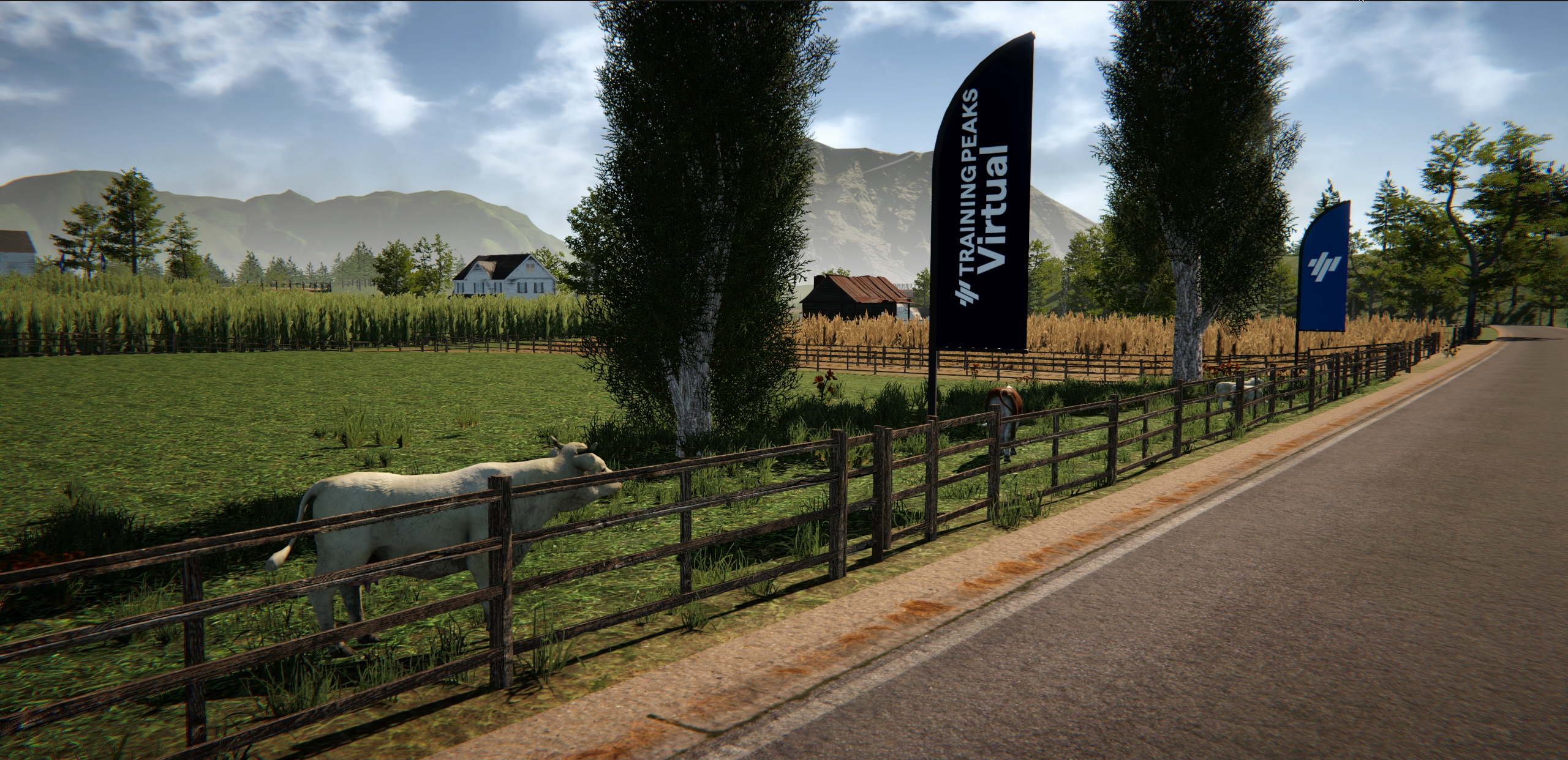 Bike Review: Ridley Noah