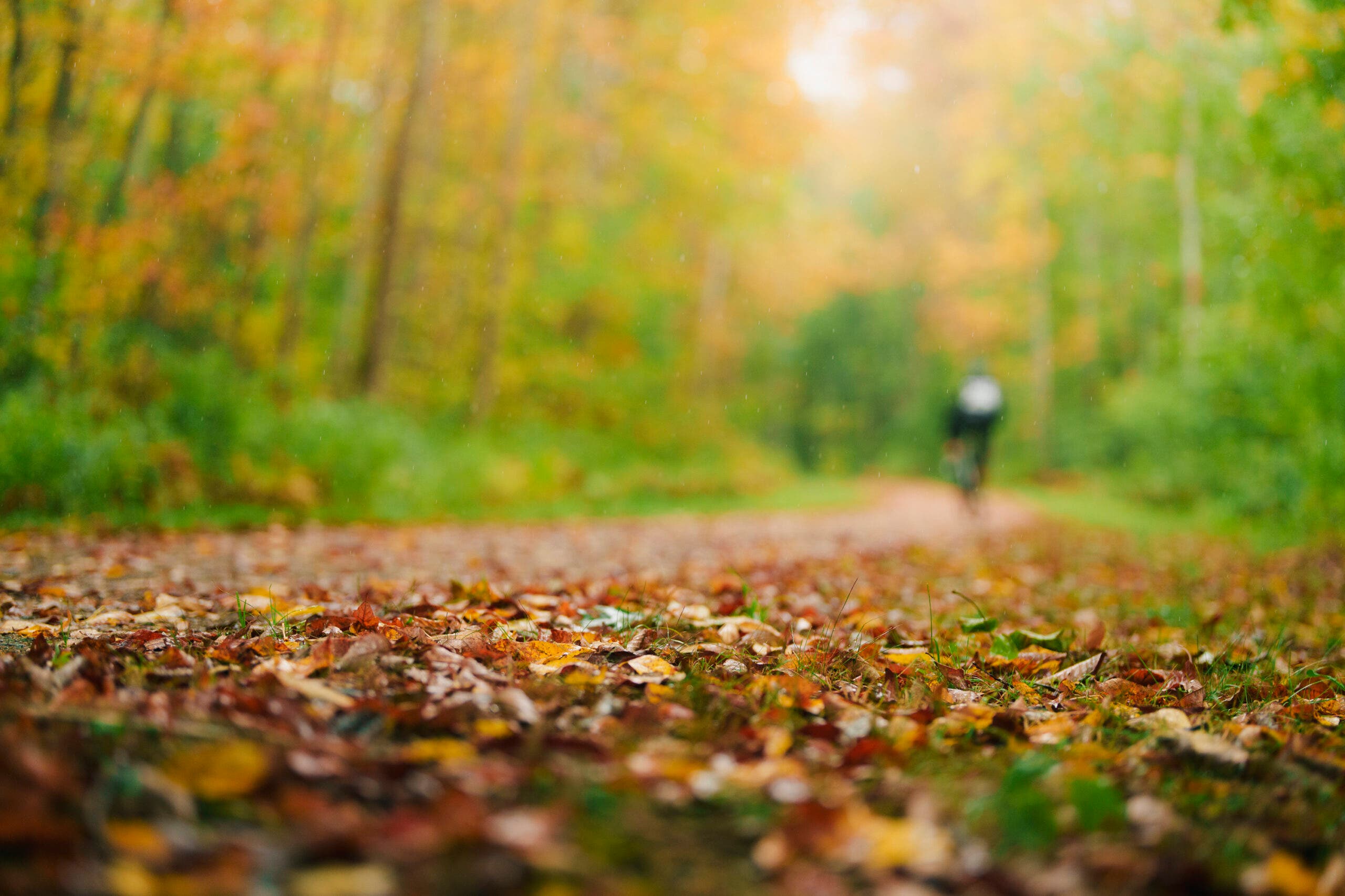 Aero Testing 5 Gravel Bikes Head to Head at the Velo Field Test - Velo, image size:2560x1707