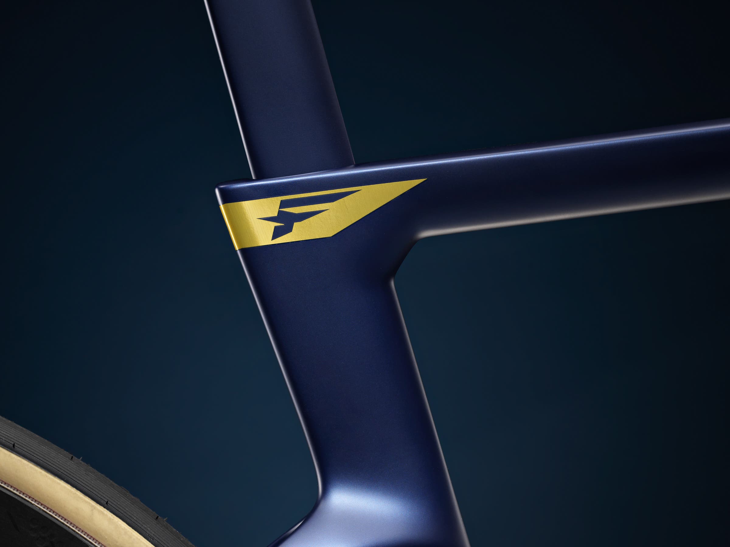 Q36.5 Pinarello Dogma F